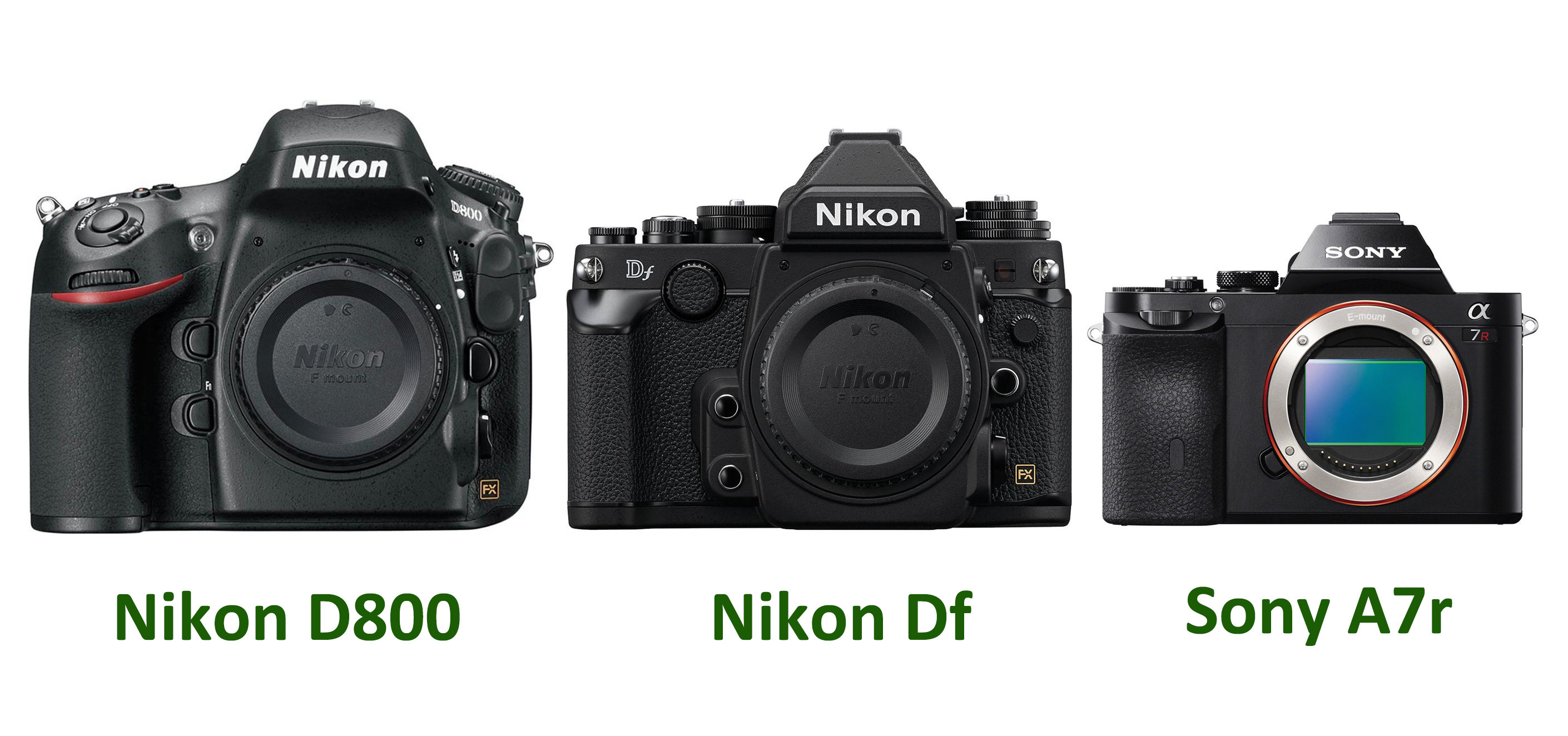 Nikon D800 Nikon D750