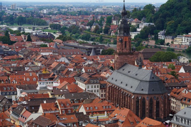 sony a99 ii sample image 6