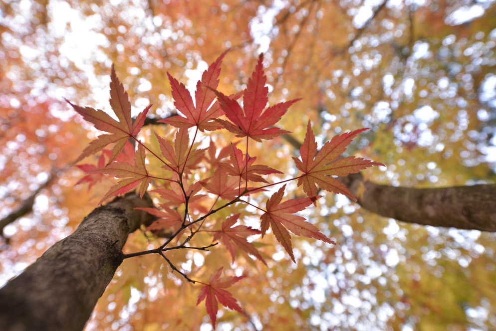 AF-S NIKKOR 18-35mm f3.5-4.5G ED Sample Image 1