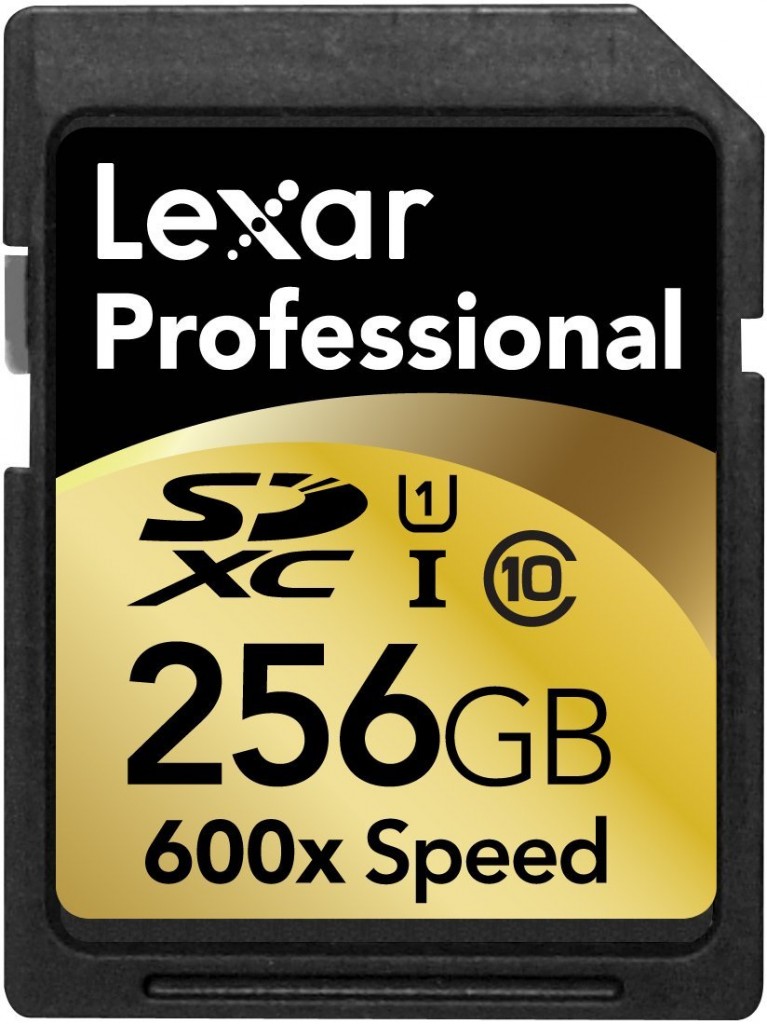 Lexar 256GB SDXC Memory Card Professional Class 10 600x UHS-I