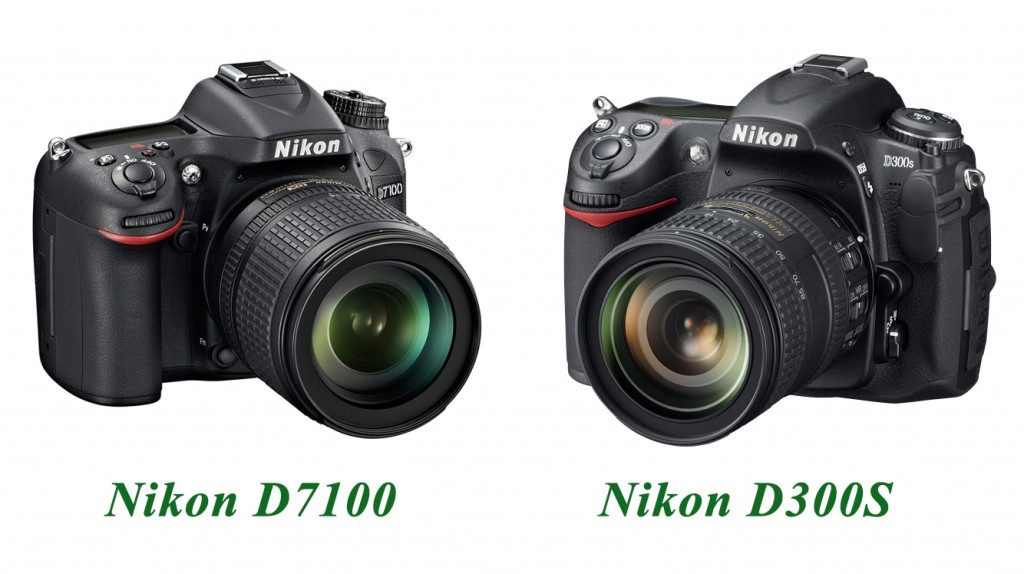 Nikon-D7100-Vs-Nikon-D300S