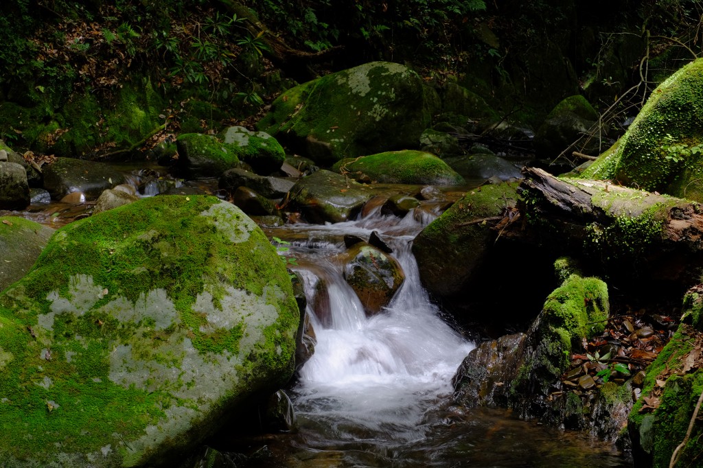 Fujifilm X-M1 Sample Image 1