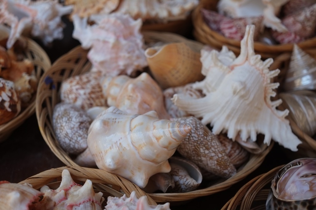 Fujifilm XF 27mm f 2.8 Pancake lens sample image 2