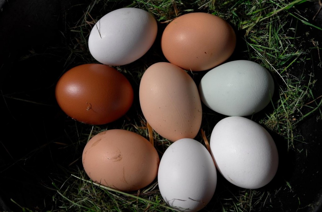 Leica X Vario Type 107 Sample Images