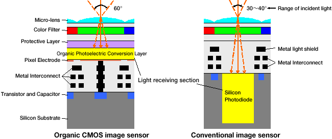 organic CMOS image sensor