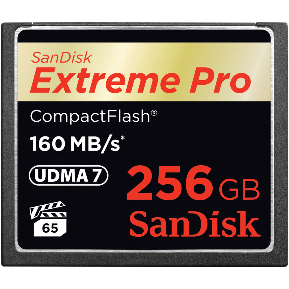 sandisk extreme pro 256 gb cf card