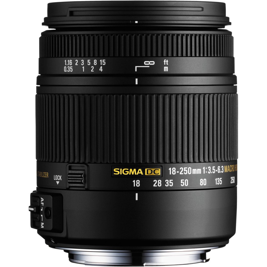 sigma 18 250mm macro lens