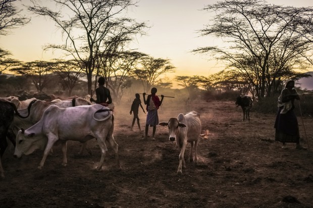 Settings: 1/125, ƒ/2.2, ISO 200, 20 mm. Full size