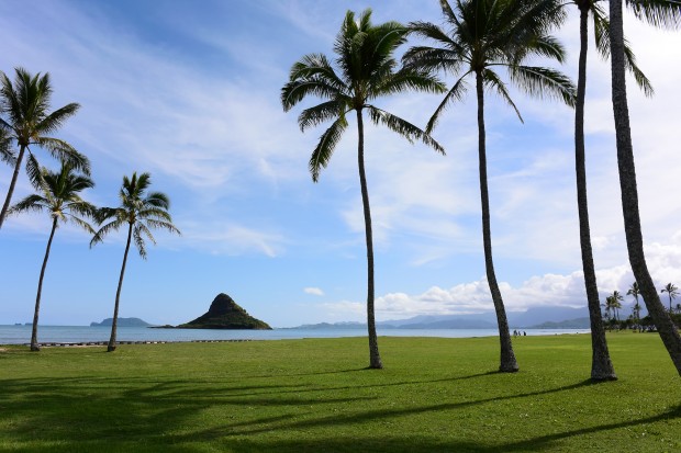 with 1 NIKKOR 10mm f/2.8, full size image