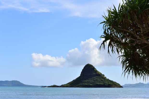 with 1 NIKKOR 32mm f/1.2, full size image