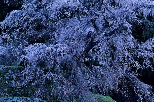 1/25s, f/11, 200mm, ISO 64, with AF-S NIKKOR 80-400mm f/4.5-5.6G ED VR Lens, View Full Size Image