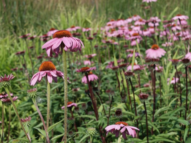 Fujifilm X30 Sample Images 4