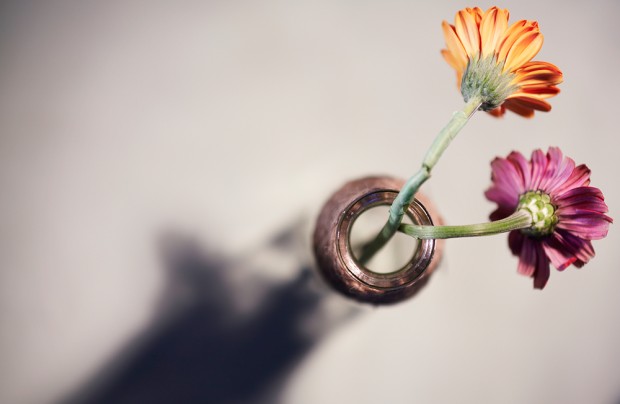 samyang 50mm F1.4 lens sample image 2