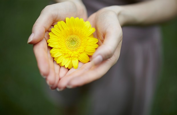 samyang 50mm F1.4 lens sample image 6