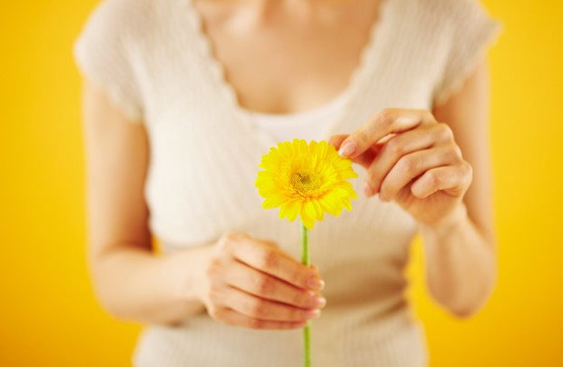 samyang 50mm F1.4 lens sample image