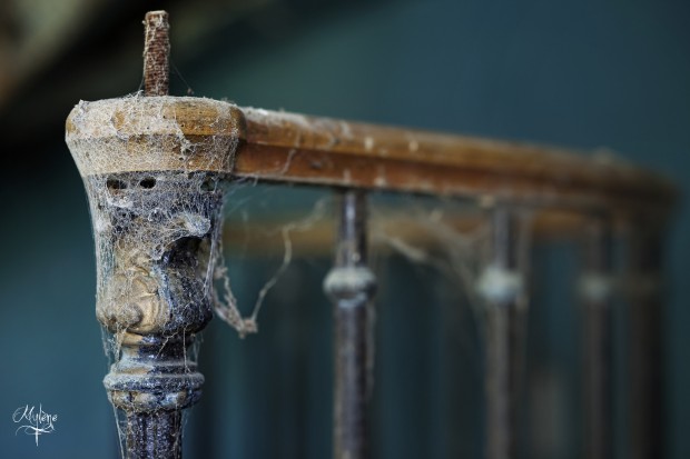 5D Mark II, Otus 1.4/85, f/2.8, 1/4 sec, ISO 100