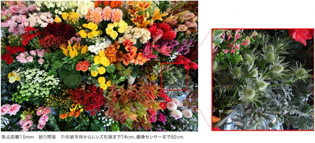 tamron sp 15-30mm f 2.8 sample images 3