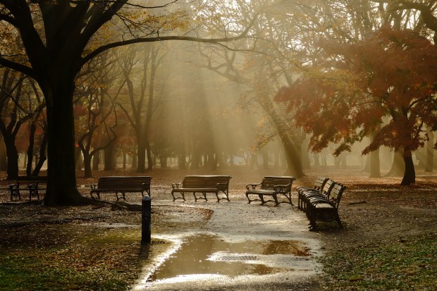 fujifilm xf 16-55mm f 2.8 r lm wr lens sample images 1