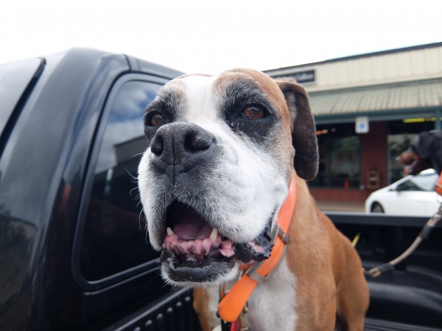 fujifilm xq2 sample images 3