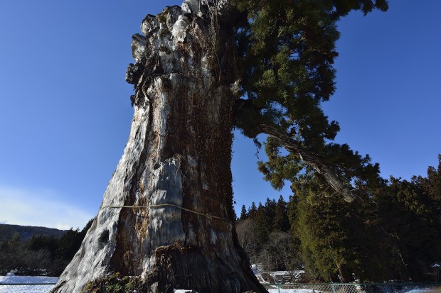 tokina at-x 11-20 f 2.8 pro dx lens sample image 1