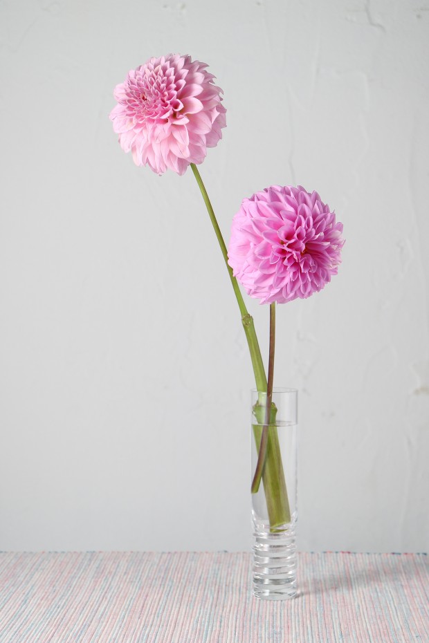 Canon EOS M3 Sample Images 7