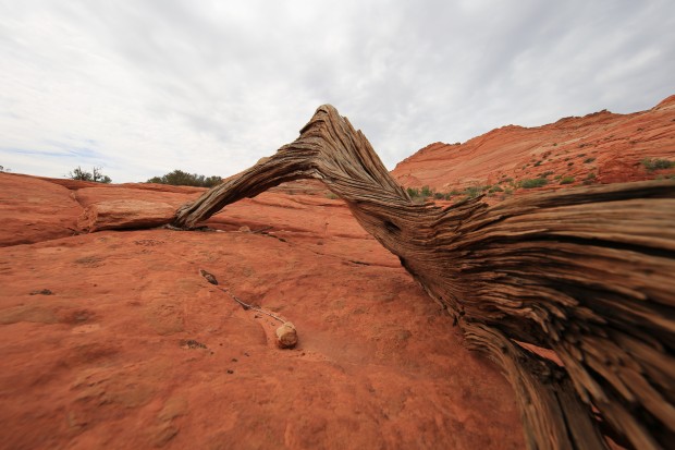 EF 11-24mm f4l usm lens sample images