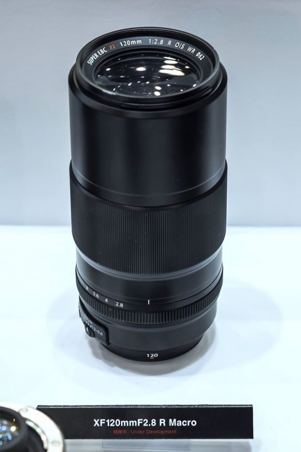 fujifilm xf 120mm f 2.8 r macro lens