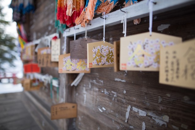 sigma 24mm f 1.4 dg os hsm art lens sample images