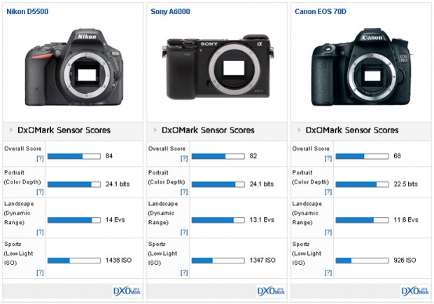 Nikon-D5500-versus-Sony-A6000-versus-Canon-70D