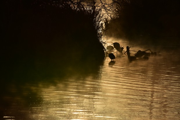 ISO 100, f/11, 1/640sec, with AF-S DX NIKKOR 18-140mm f/3.5-5.6G ED VR lens, See Full Size Image