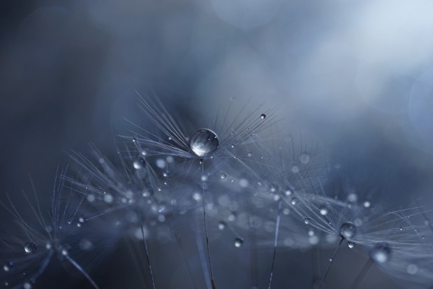 Sony FE 90mm f 2.8 macro lens 3