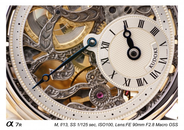 Sony FE 90mm f 2,8 macro lens 14