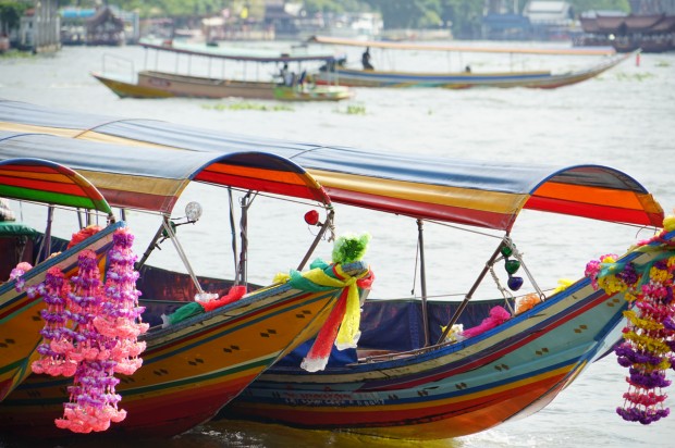 sony fe 24-240mm lens sample images 2