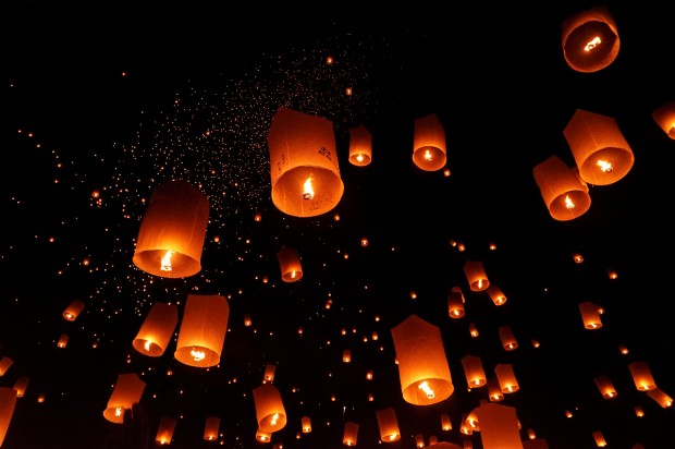 sony fe 24-240mm lens sample images