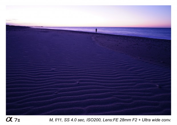 sony fe 28mm f2 lens sample images 4