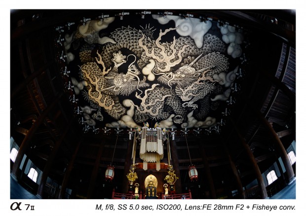 sony fe 28mm f2 lens sample images 5