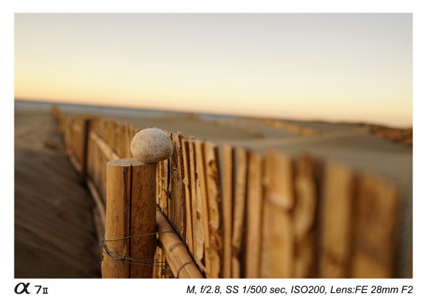 sony fe 28mm f2 lens sample images
