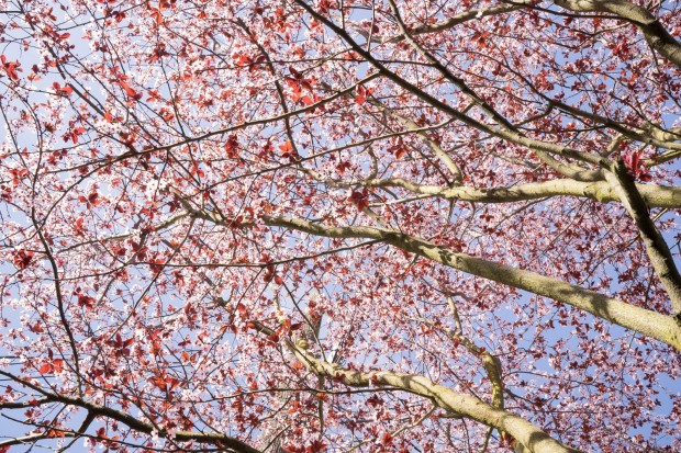 sony zeiss fe 35mm f 1.4 za lens sample images 1