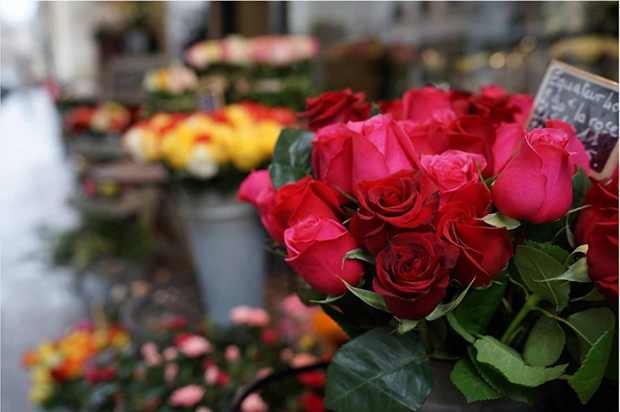sony zeiss fe 35mm f 1.4 za lens sample images 3