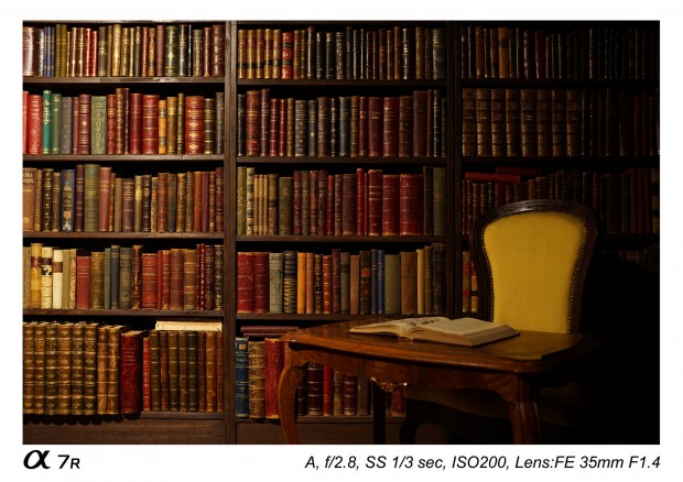 sony zeiss fe 35mm f 1.4 za lens sample images 3