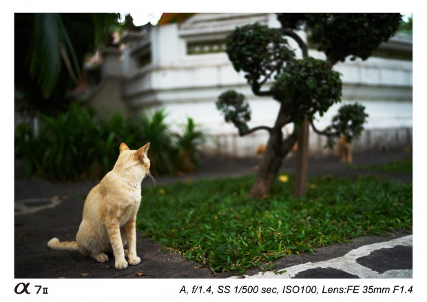 sony zeiss fe 35mm f 1.4 za lens sample images