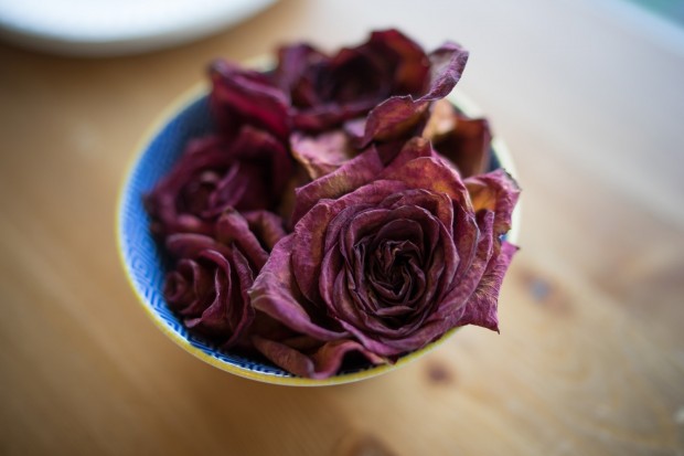 sony zeiss fe 35mm f 1.4 za lens sample images