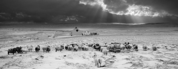 LEICA M MONOCHROM typ 246 sample image