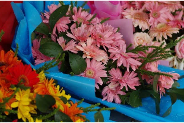 Pentax K-3 II Sample Image 7