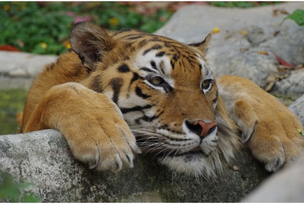 Pentax K-3 II Sample Images