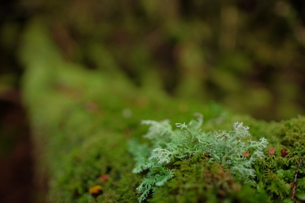 fujifilm xf 16mm f 1.4 r wr lens sample images 2