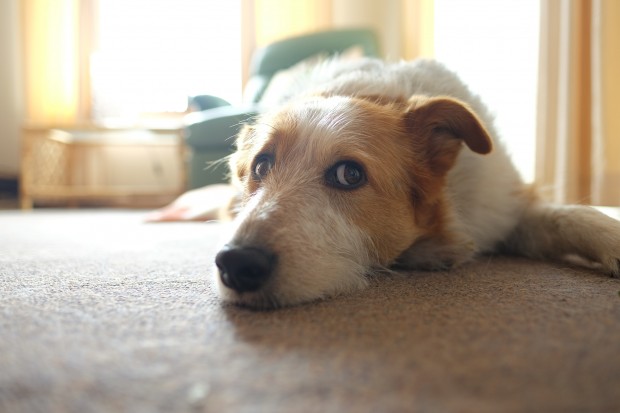 fujifilm xf 16mm f 1.4 r wr lens sample images 4