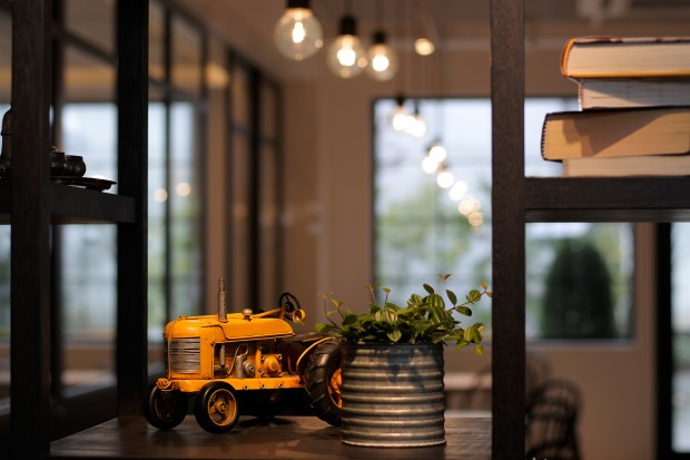 nikon 1 j5 sample image 2