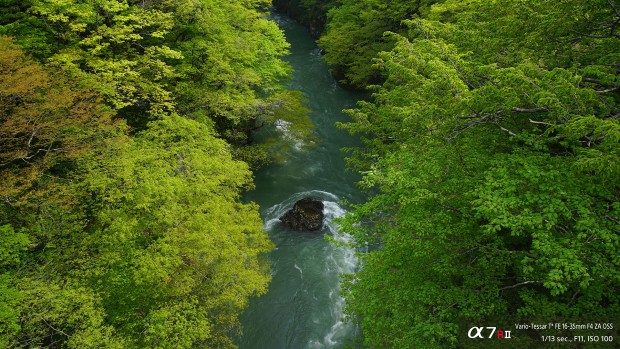 a7rii sample images 1