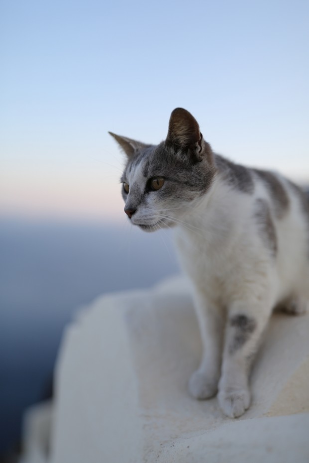 ef 35mm f 1.4 l ii usm lens sample image 12